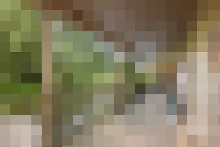 Kievit 1 Grootegast thumbnail 31