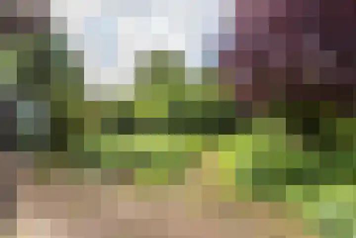 Kievit 1 Grootegast thumbnail 35