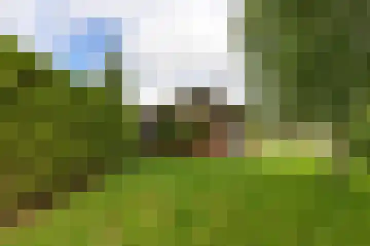 Kievit 1 Grootegast thumbnail 37