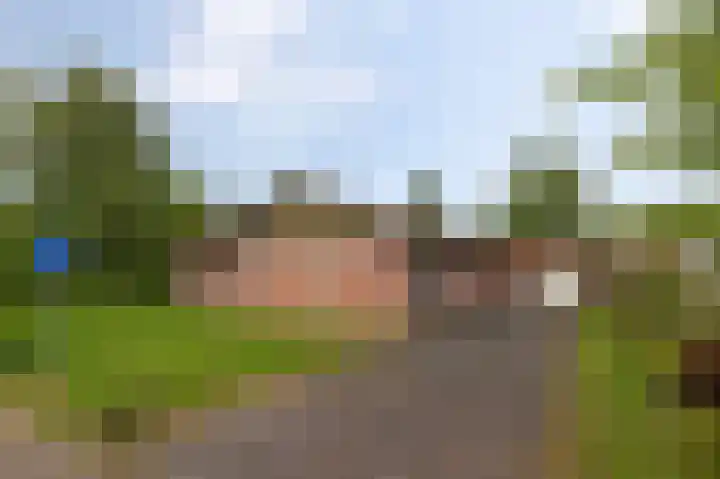 Kievit 1 Grootegast thumbnail 38