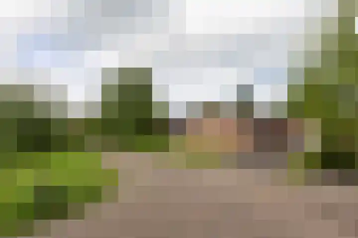 Kievit 1 Grootegast thumbnail 39