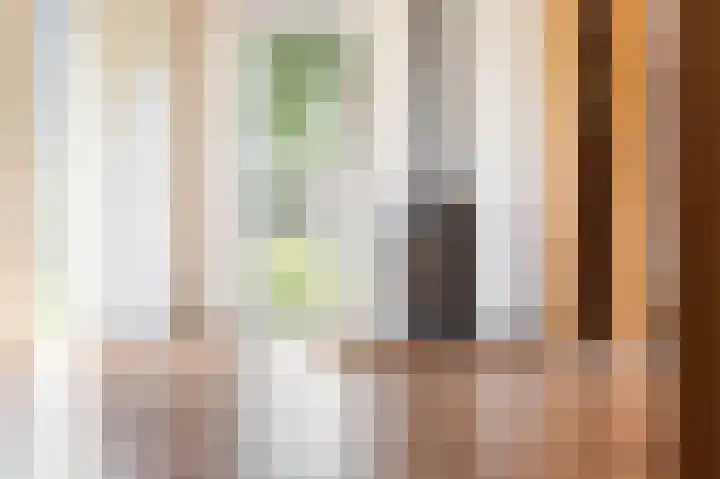 Kievit 1 Grootegast thumbnail 6