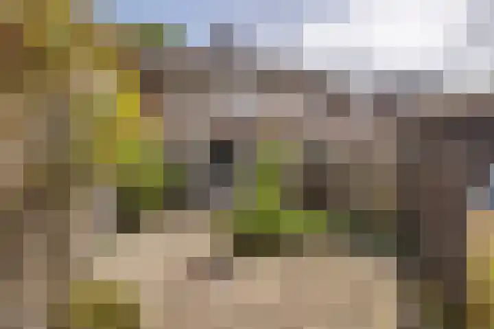 Kievit 1 Hardinxveld-Giessendam thumbnail 17
