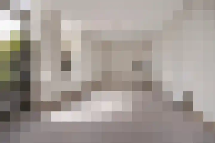 Kievit 1 Hardinxveld-Giessendam thumbnail 20