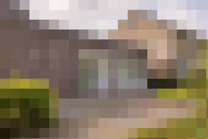Kievit 1 Hardinxveld-Giessendam thumbnail 36