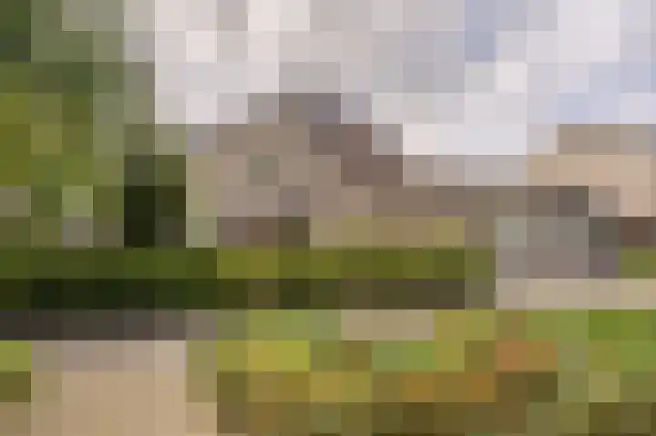 Kievit 1 Hardinxveld-Giessendam thumbnail 6