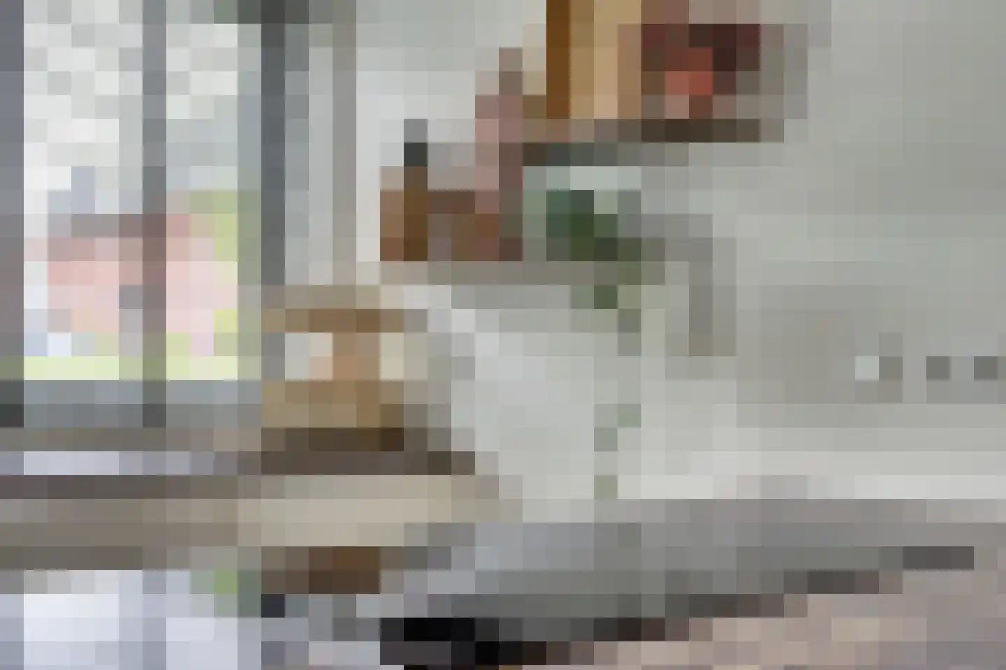 Kievit 1 Meerkerk thumbnail 12