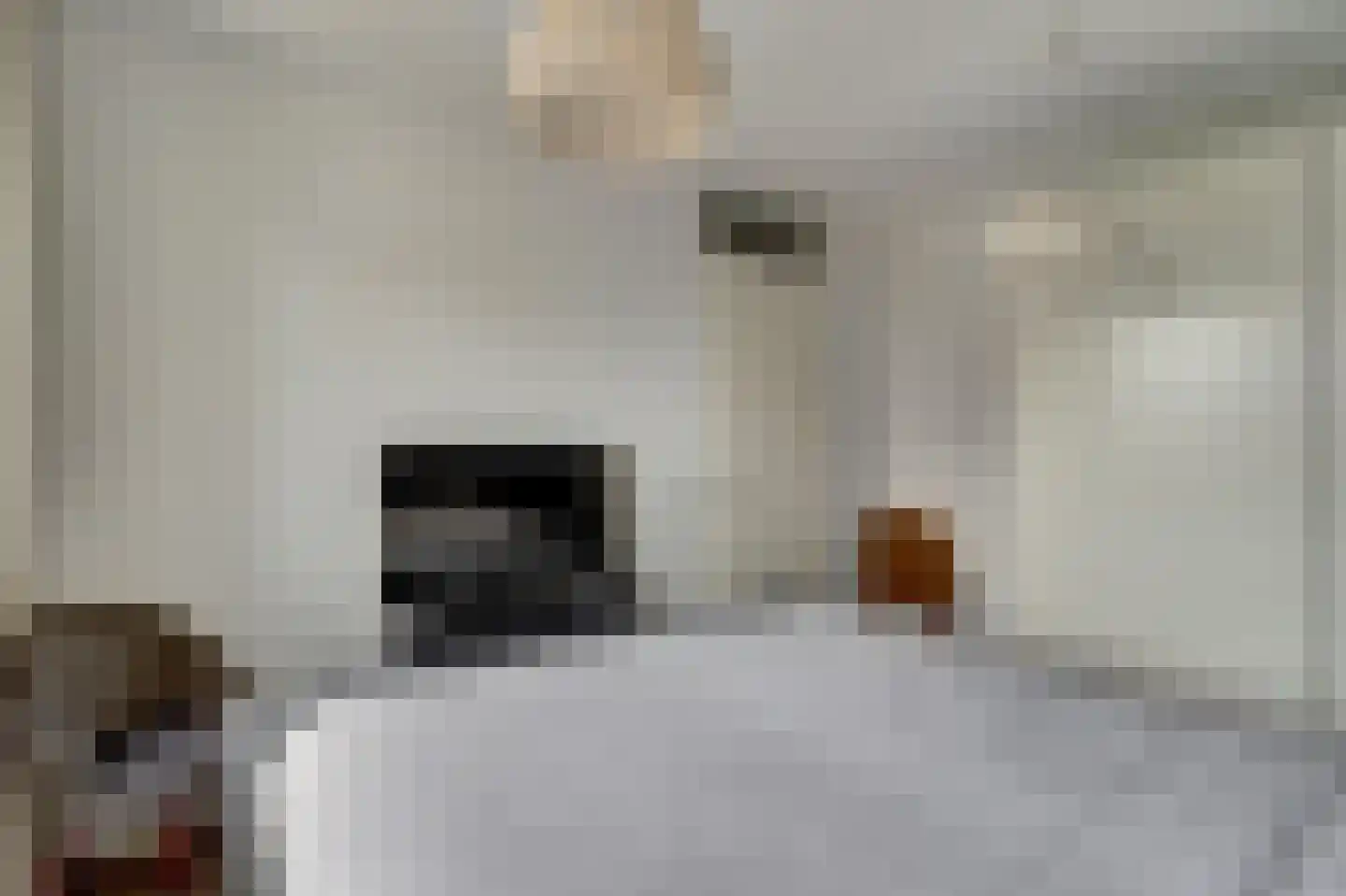 Kievit 1 Meerkerk thumbnail 20