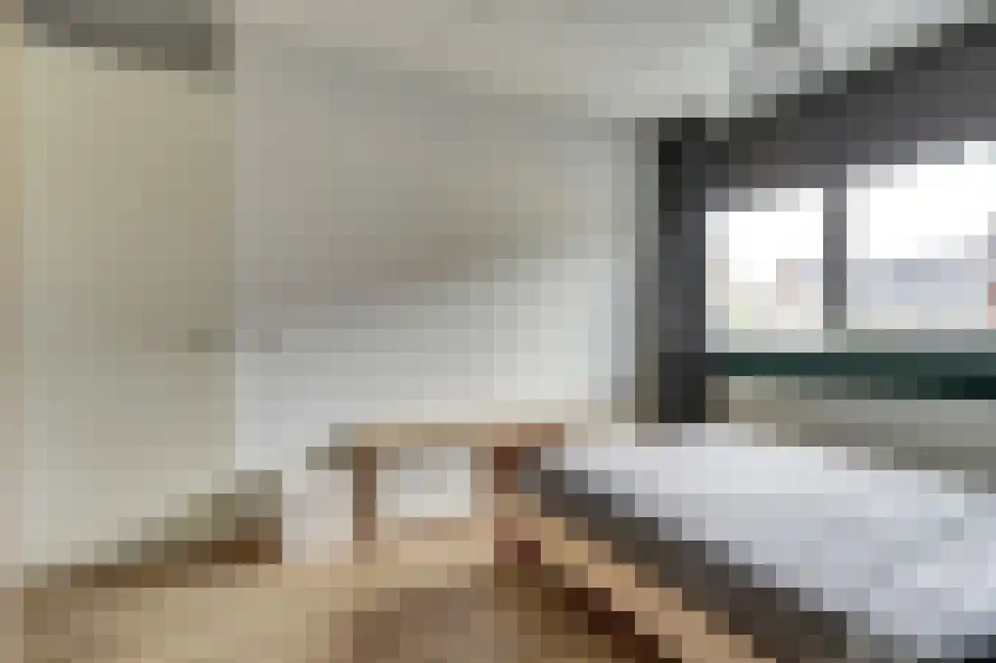 Kievit 1 Meerkerk thumbnail 23