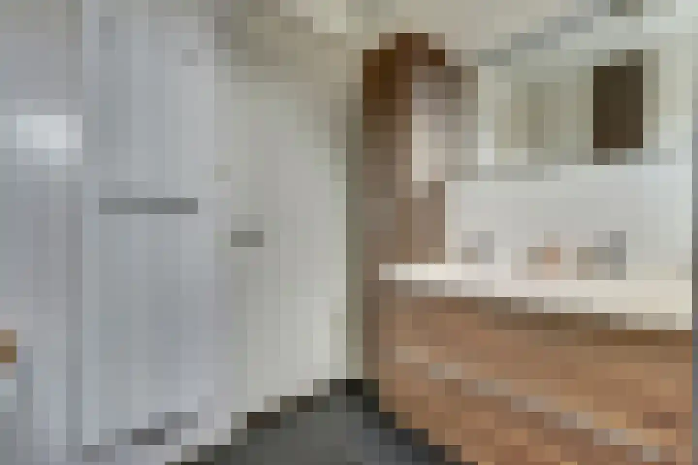Kievit 1 Meerkerk thumbnail 27