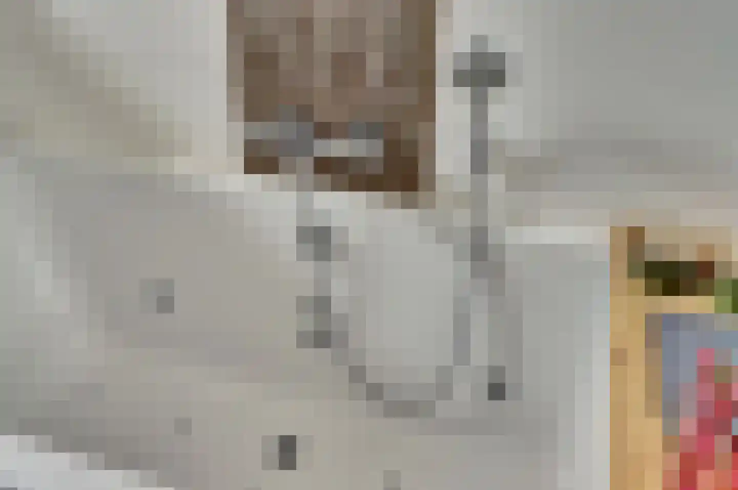 Kievit 1 Meerkerk thumbnail 28