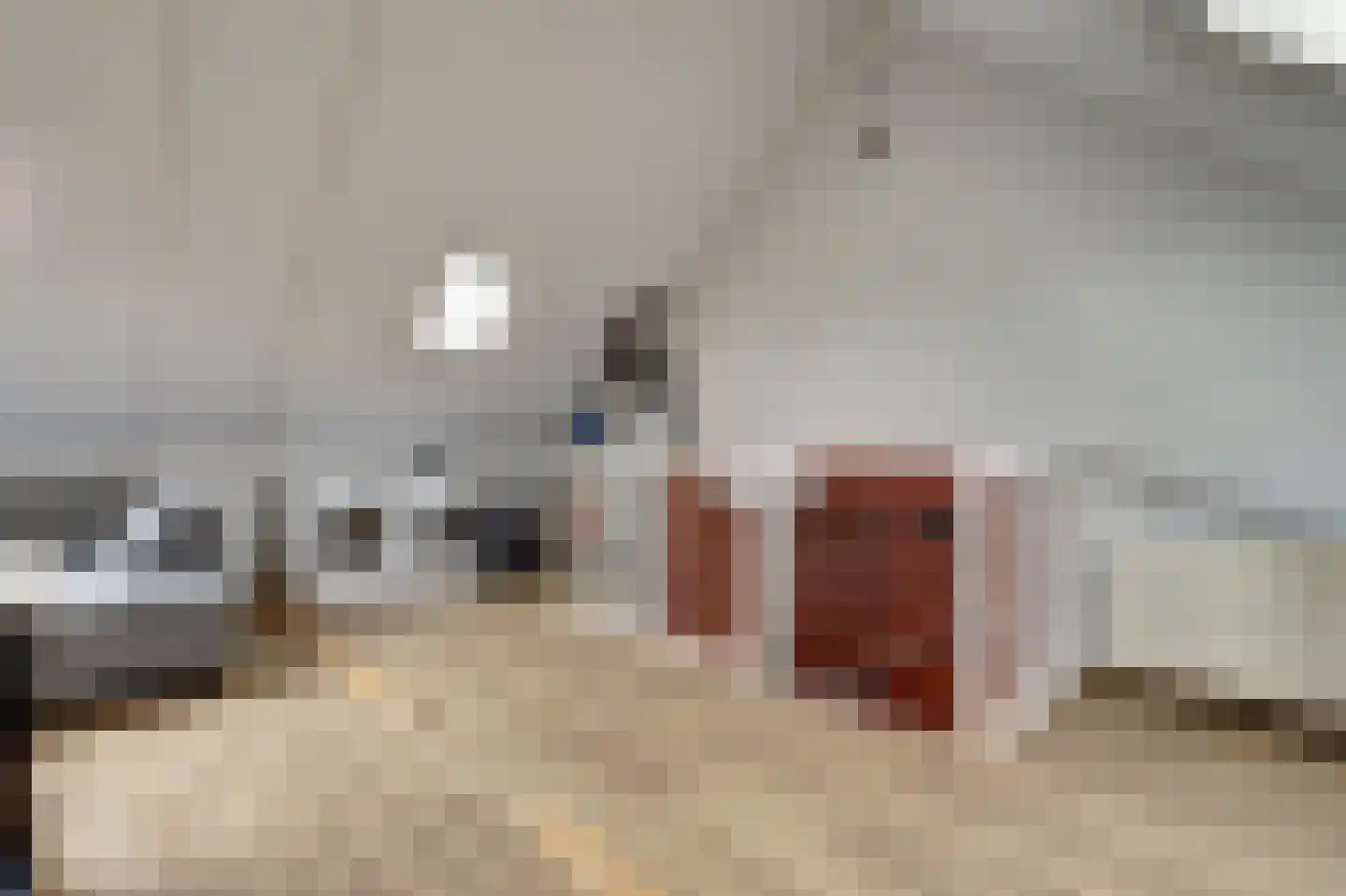 Kievit 1 Meerkerk thumbnail 30