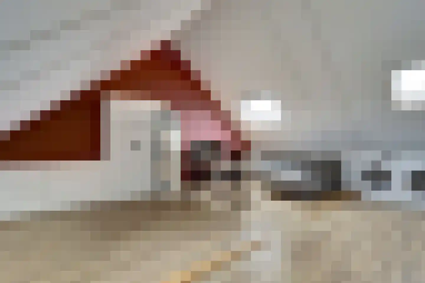 Kievit 1 Meerkerk thumbnail 31