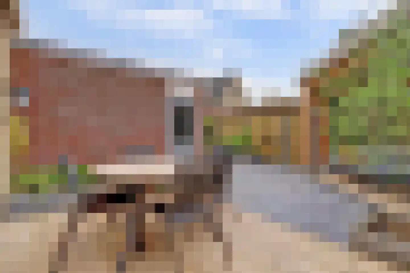 Kievit 1 Meerkerk thumbnail 39