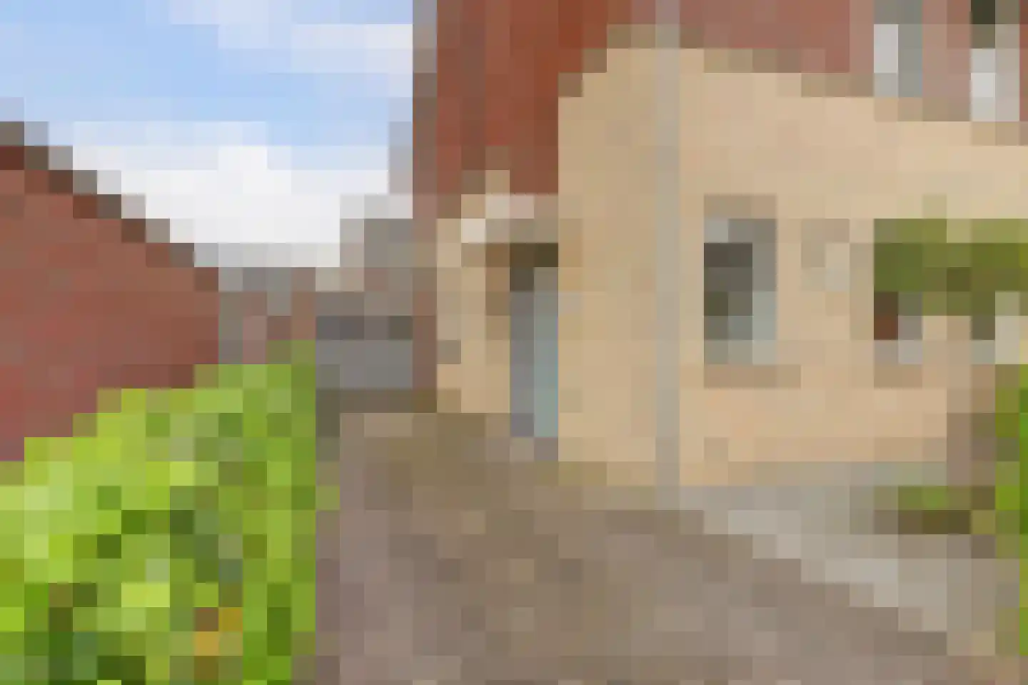 Kievit 1 Meerkerk thumbnail 42