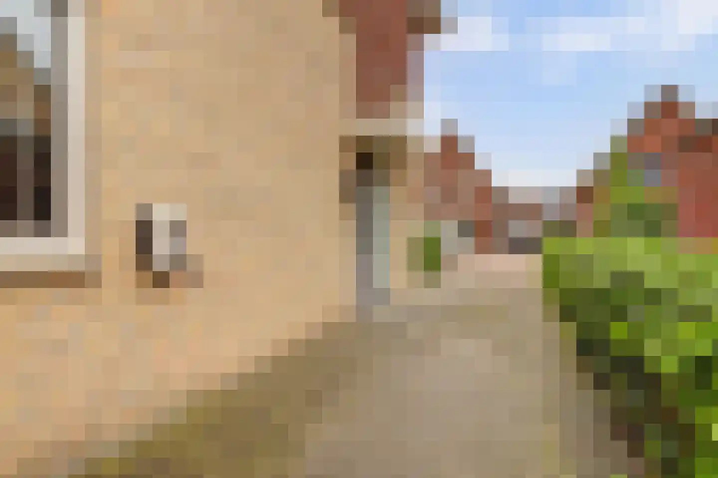 Kievit 1 Meerkerk thumbnail 44