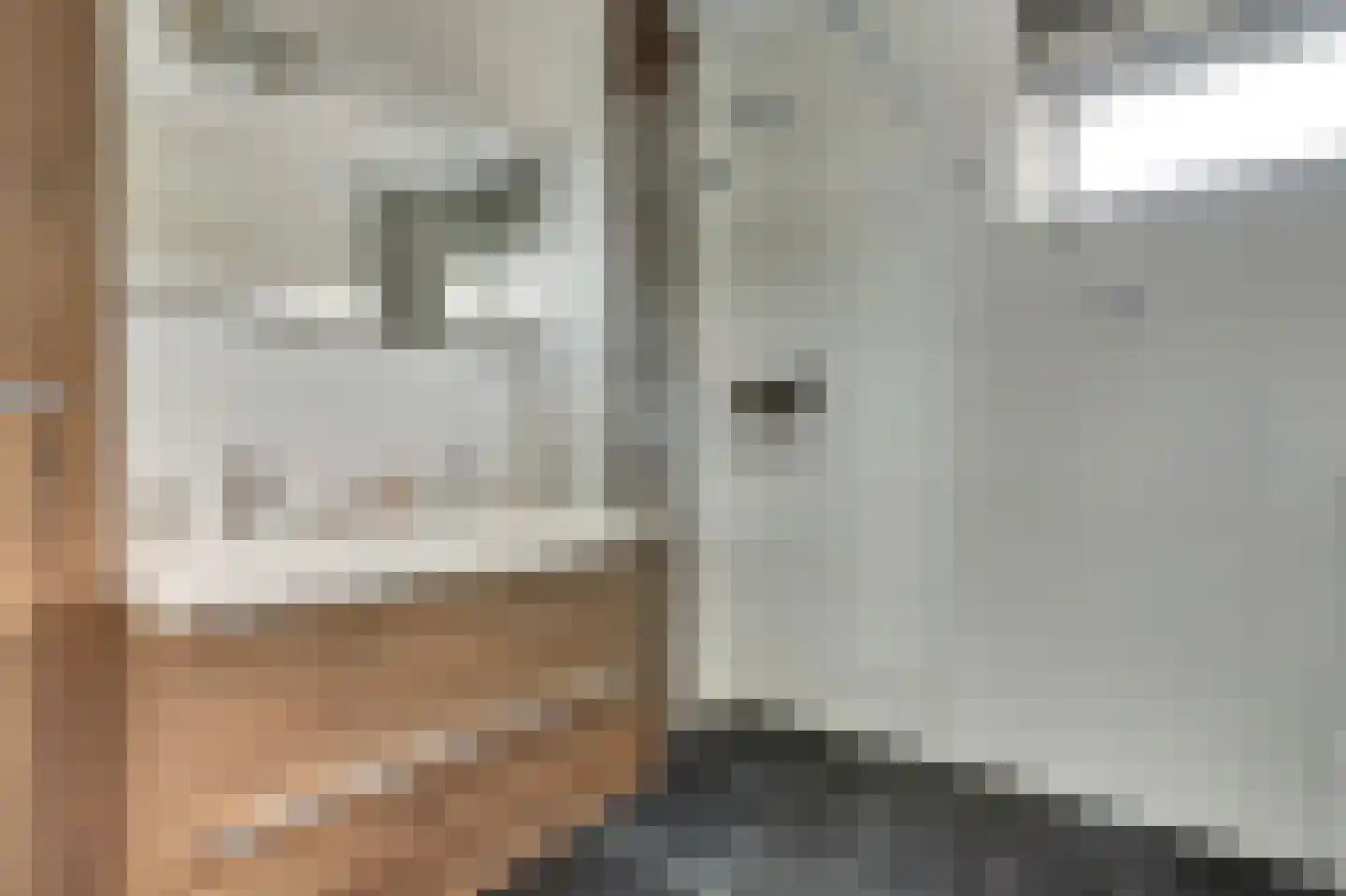 Kievit 1 Meerkerk thumbnail 5