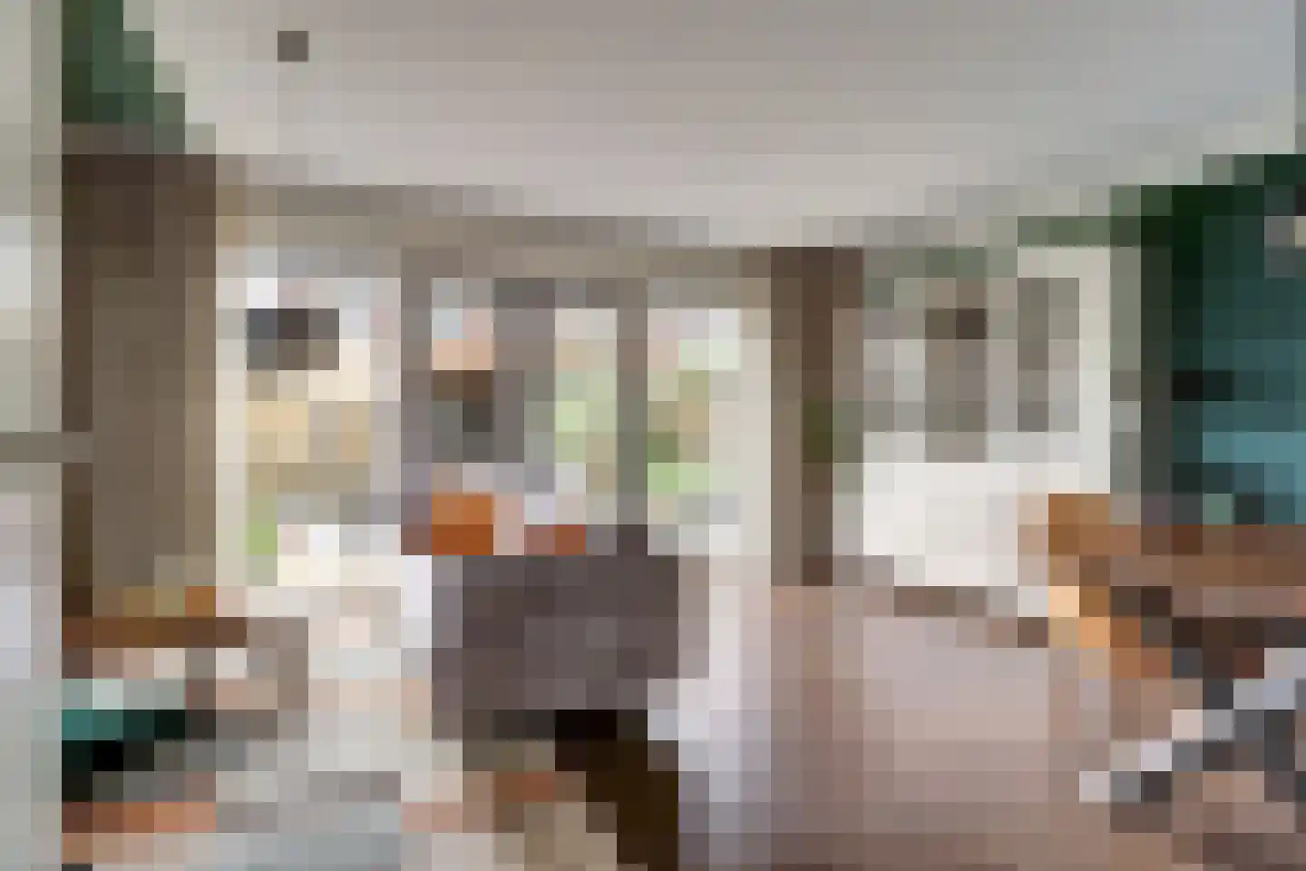 Kievit 1 Meerkerk thumbnail 6
