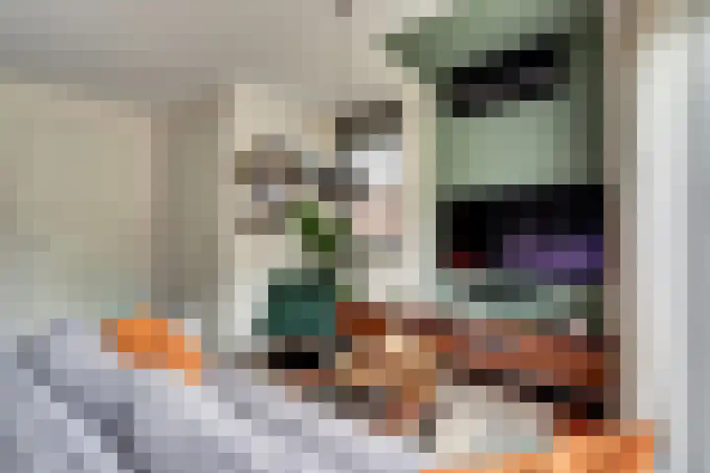 Kievit 1 Meerkerk thumbnail 9