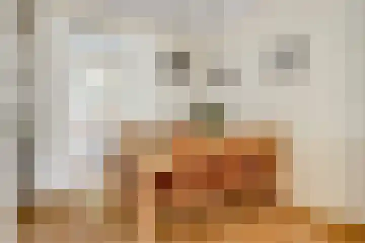 Kievit 10 Doorn thumbnail 10