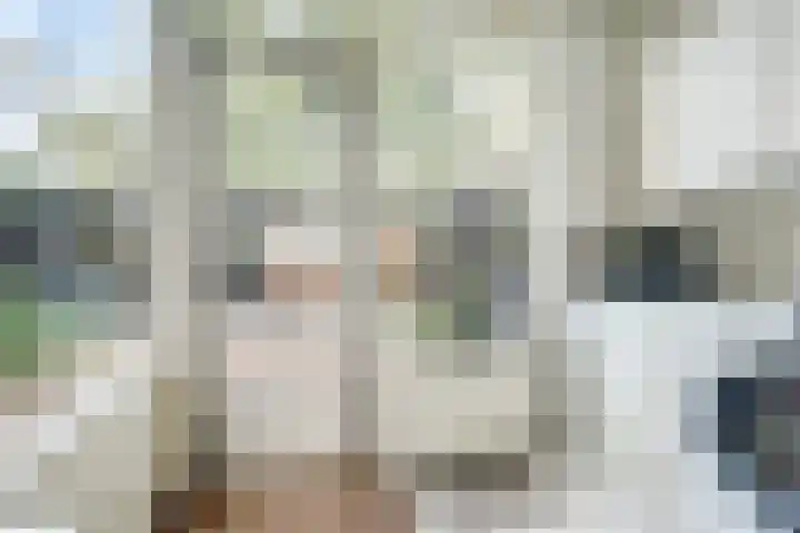 Kievit 10 Doorn thumbnail 11