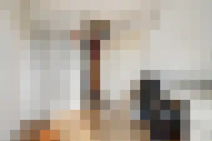 Kievit 10 Doorn thumbnail 19