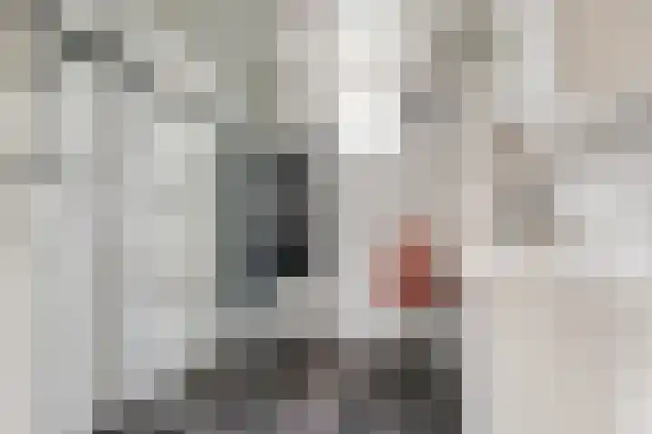 Kievit 10 Doorn thumbnail 20