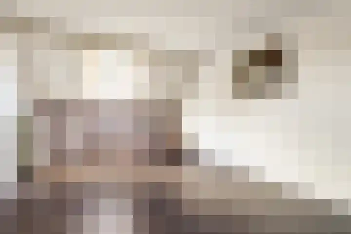 Kievit 10 Doorn thumbnail 25