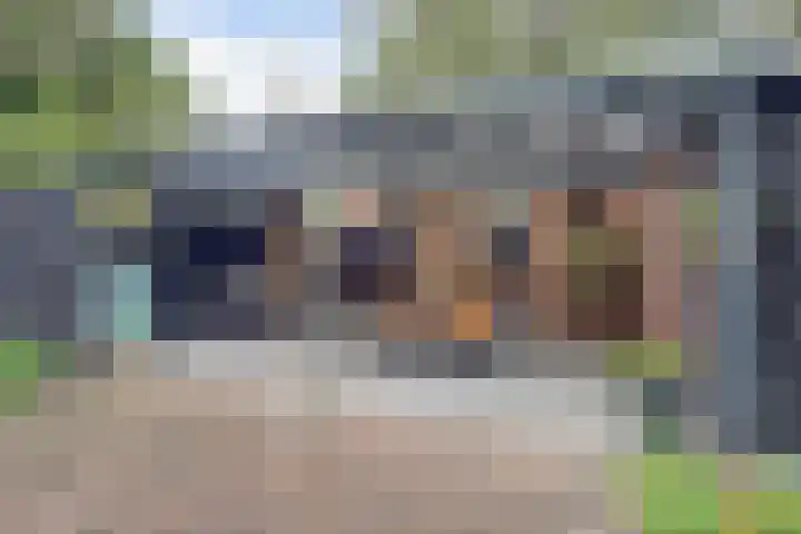 Kievit 10 Doorn thumbnail 32