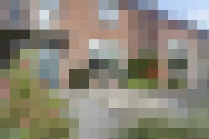 Kievit 10 Doorn thumbnail 34
