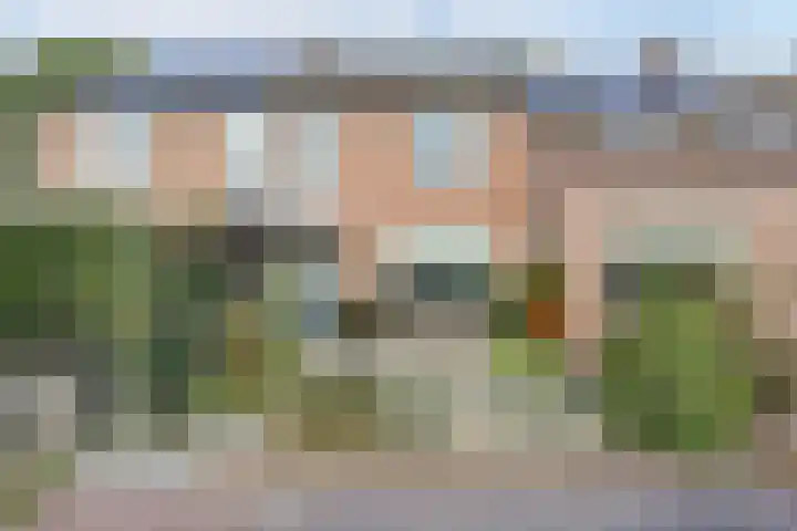 Kievit 10 Doorn thumbnail 35