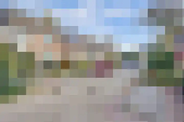 Kievit 10 Doorn thumbnail 36
