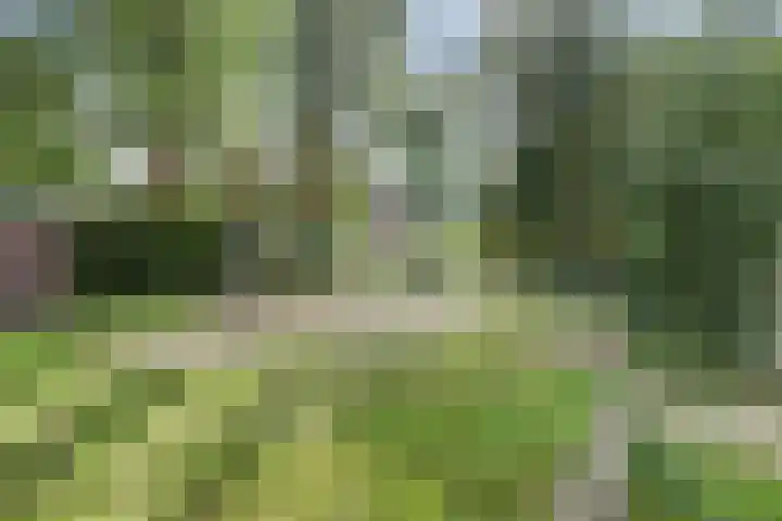 Kievit 10 Doorn thumbnail 38