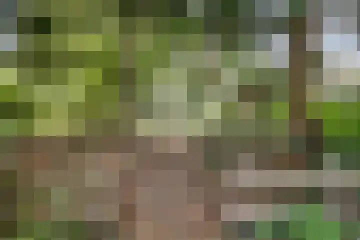Kievit 10 Doorn thumbnail 39