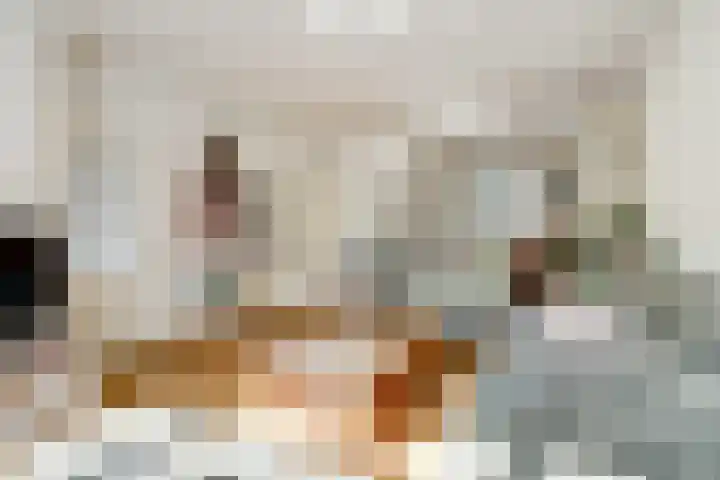 Kievit 10 Doorn thumbnail 4