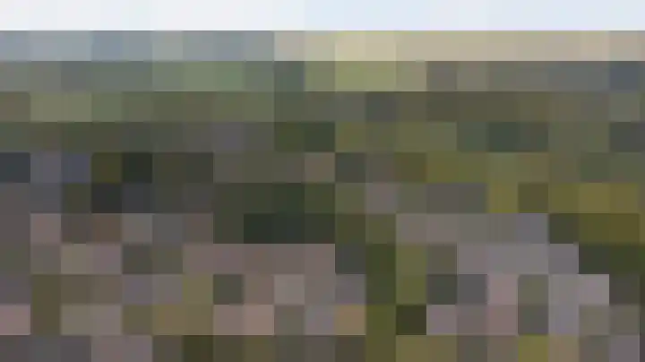 Kievit 10 Doorn thumbnail 42