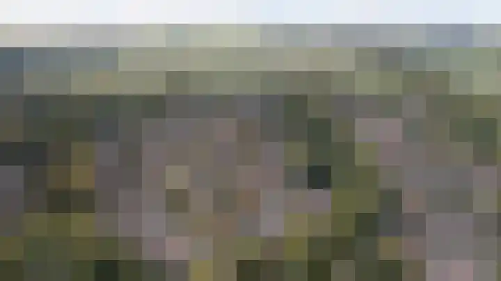 Kievit 10 Doorn thumbnail 44