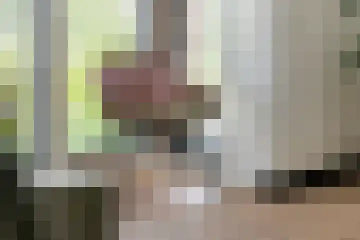 Kievit 100 Maurik thumbnail 10