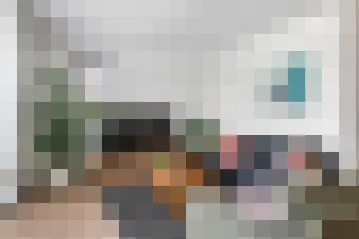 Kievit 100 Maurik thumbnail 11