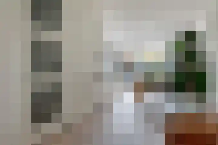 Kievit 100 Maurik thumbnail 12