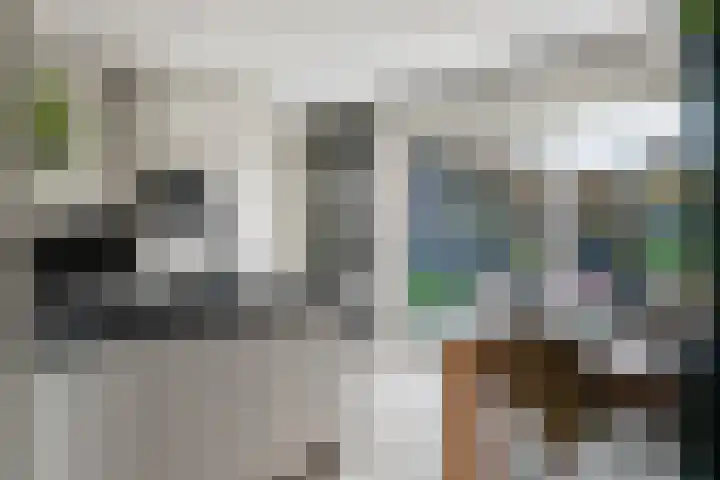 Kievit 100 Maurik thumbnail 13
