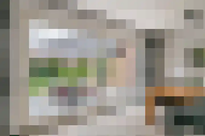 Kievit 100 Maurik thumbnail 14