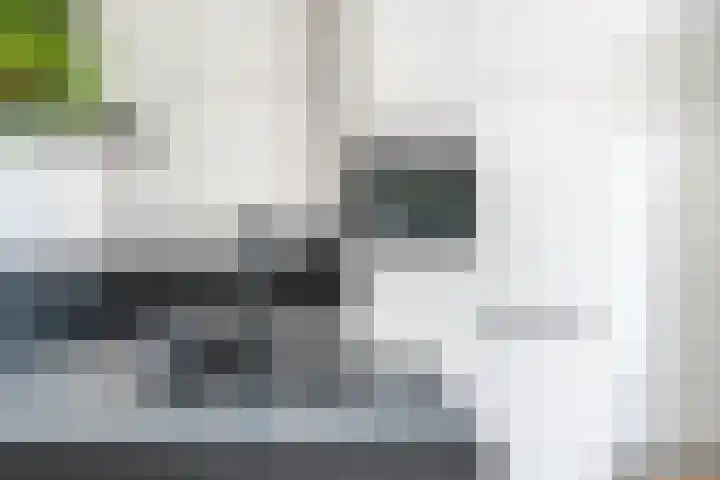 Kievit 100 Maurik thumbnail 15