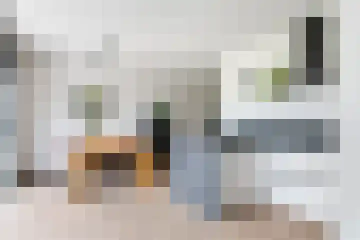 Kievit 100 Maurik thumbnail 16