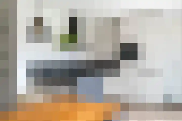 Kievit 100 Maurik thumbnail 17