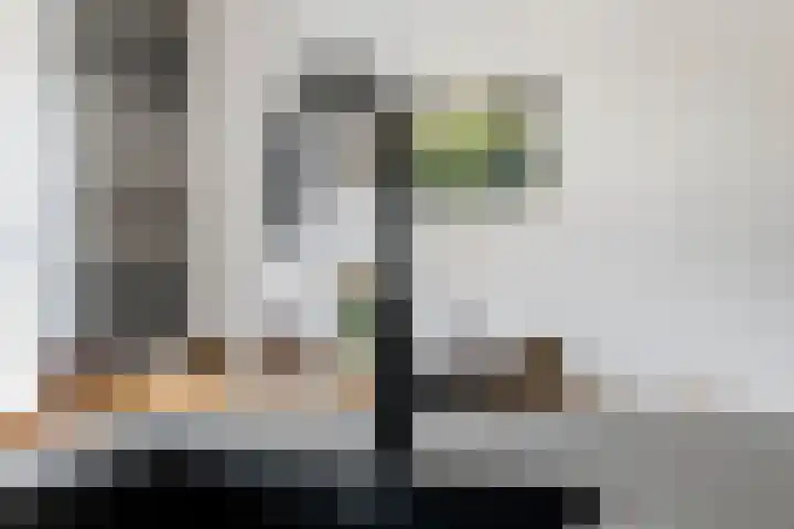 Kievit 100 Maurik thumbnail 20