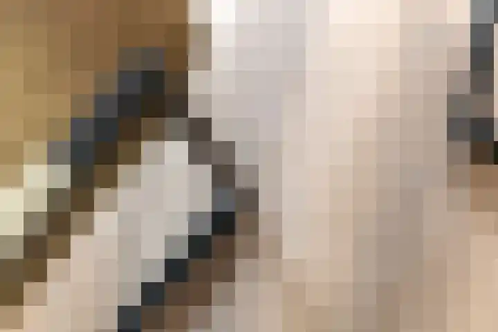 Kievit 100 Maurik thumbnail 23