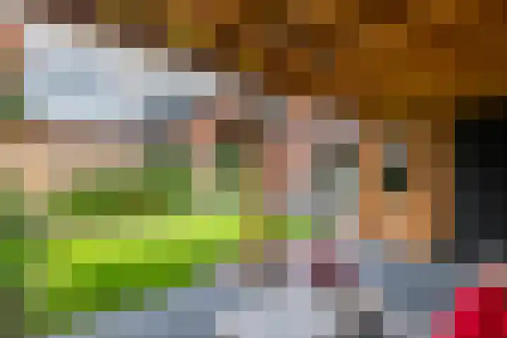 Kievit 100 Maurik thumbnail 24