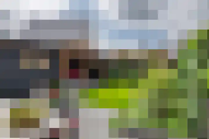 Kievit 100 Maurik thumbnail 26