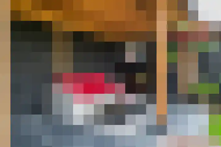 Kievit 100 Maurik thumbnail 27